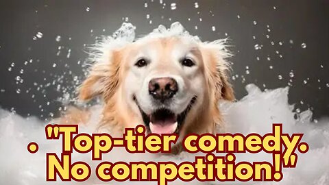 This Dog & Cat Duo Just Broke the Internet! 😂🐶🐱