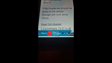 Your Daily Bible Verse for Thursday #bible #bibleverse #jesus #christian
