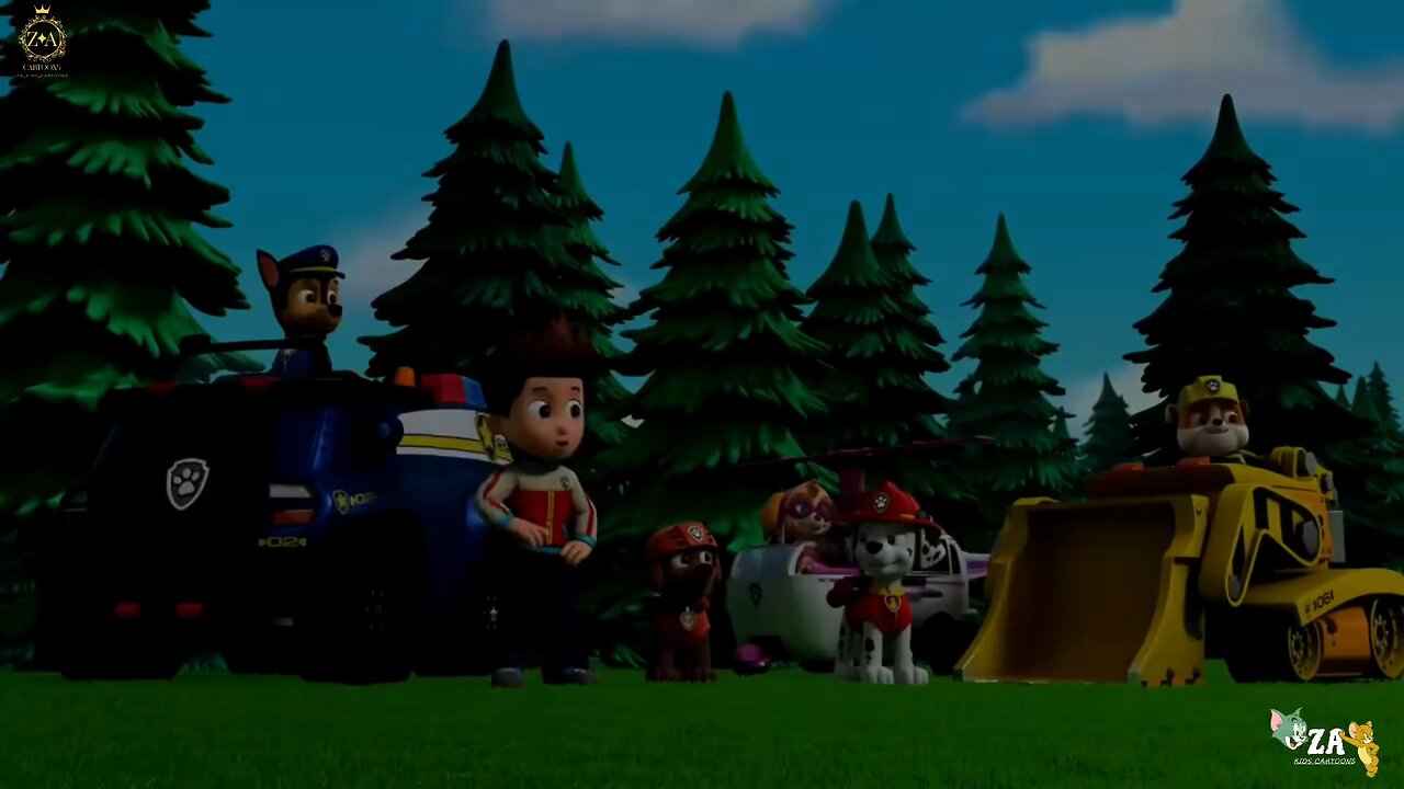 PAW Patrol Cartoons