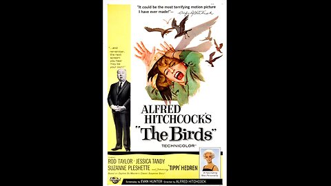 The Birds 1963 HD 1080 Full Movie Alfred Hitchcock
