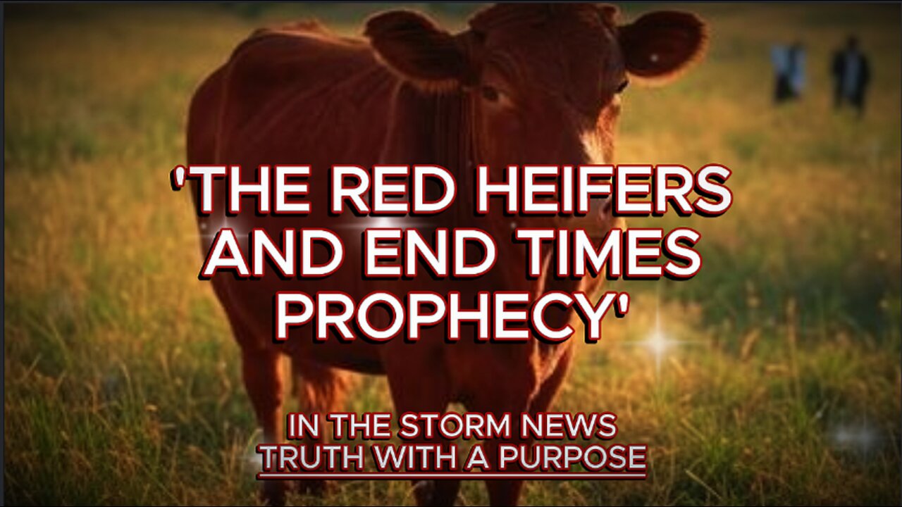 ITSN presents: 'THE RED HEIFERS AND END TIMES PROPHECY' 3.30