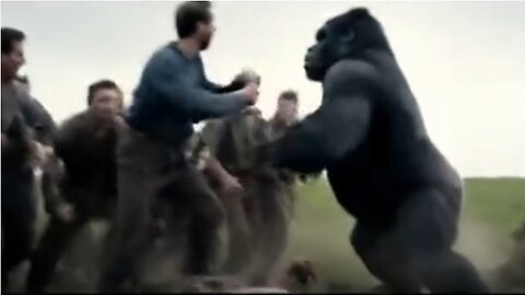 100 MEN vs. 1 GORRILLA "Clean Fight Update" #freetheland