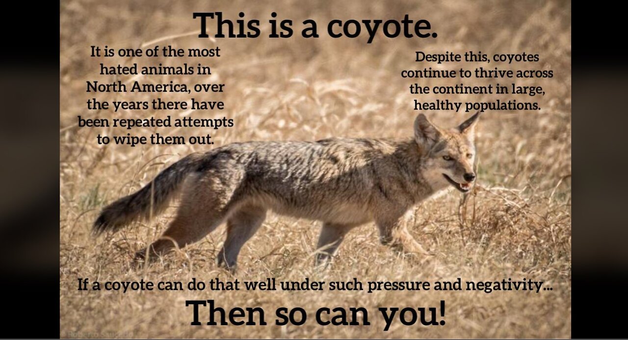 Thank You For THE action and Nice Win !!!!!!!!!!!