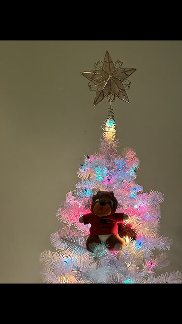 Snowy morning in Iowa