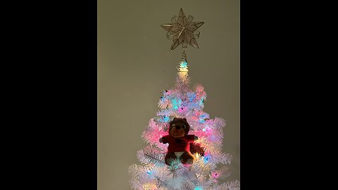 Snowy morning in Iowa