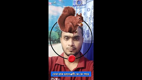 কাঠবিড়ালীটি জোড়া লাগান ৪৮ #reels #puzzle #foryou
