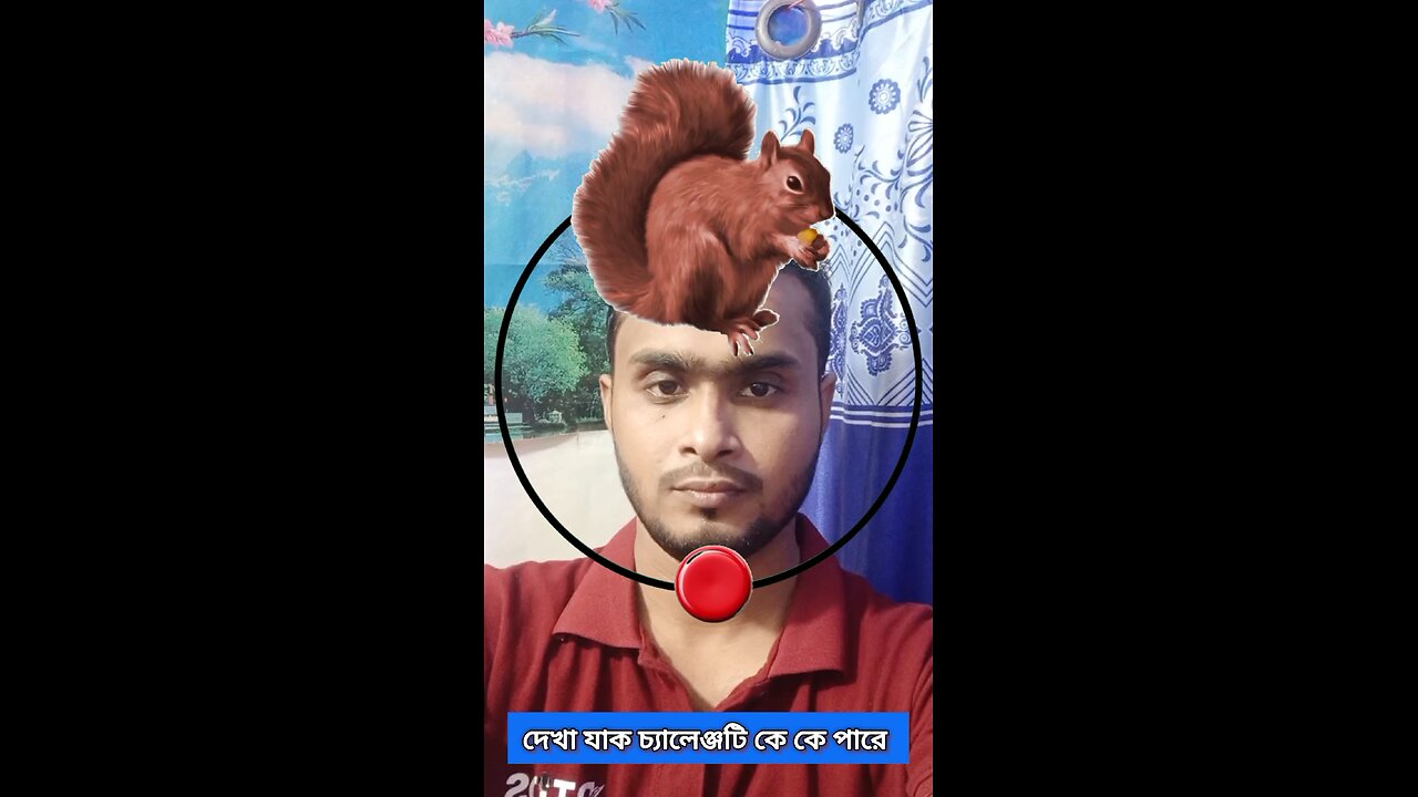 কাঠবিড়ালীটি জোড়া লাগান ৪৮ #reels #puzzle #foryou
