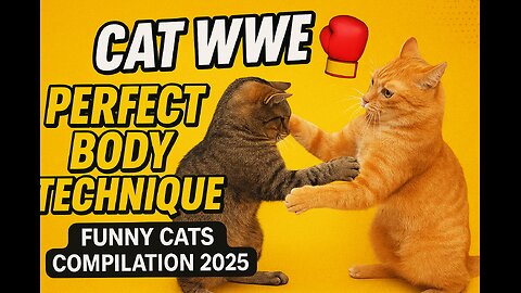 Cat WWE 🥊 Perfect Body Technique | Funny Cats Compilation 2025