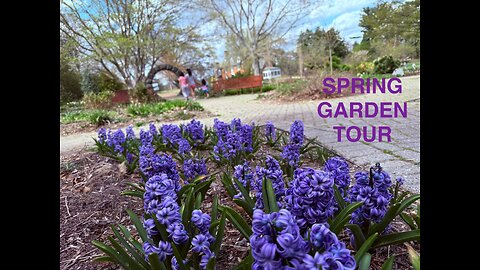 Tranquil Springtime Stroll Through Green Spring Gardens, a Northern Virginia Hidden Gem