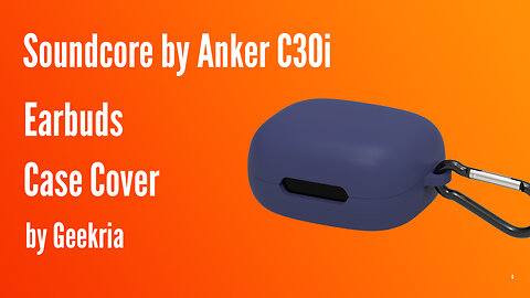 Soundcore by Anker C30i Earbuds Case Cover | Geekria