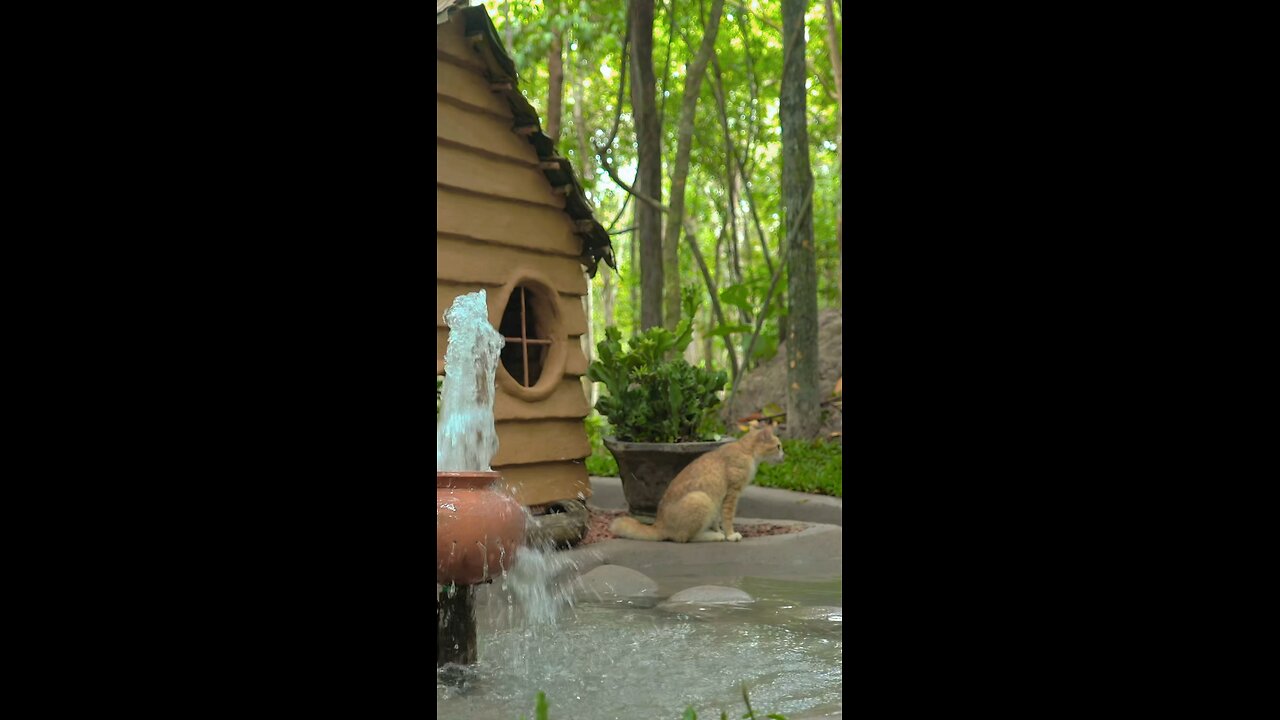 Primitive Dog House with Flowing Water Pot 💦🏡