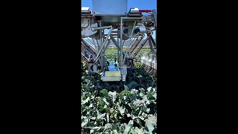 Farmers may soon completely replace illegal alien labor