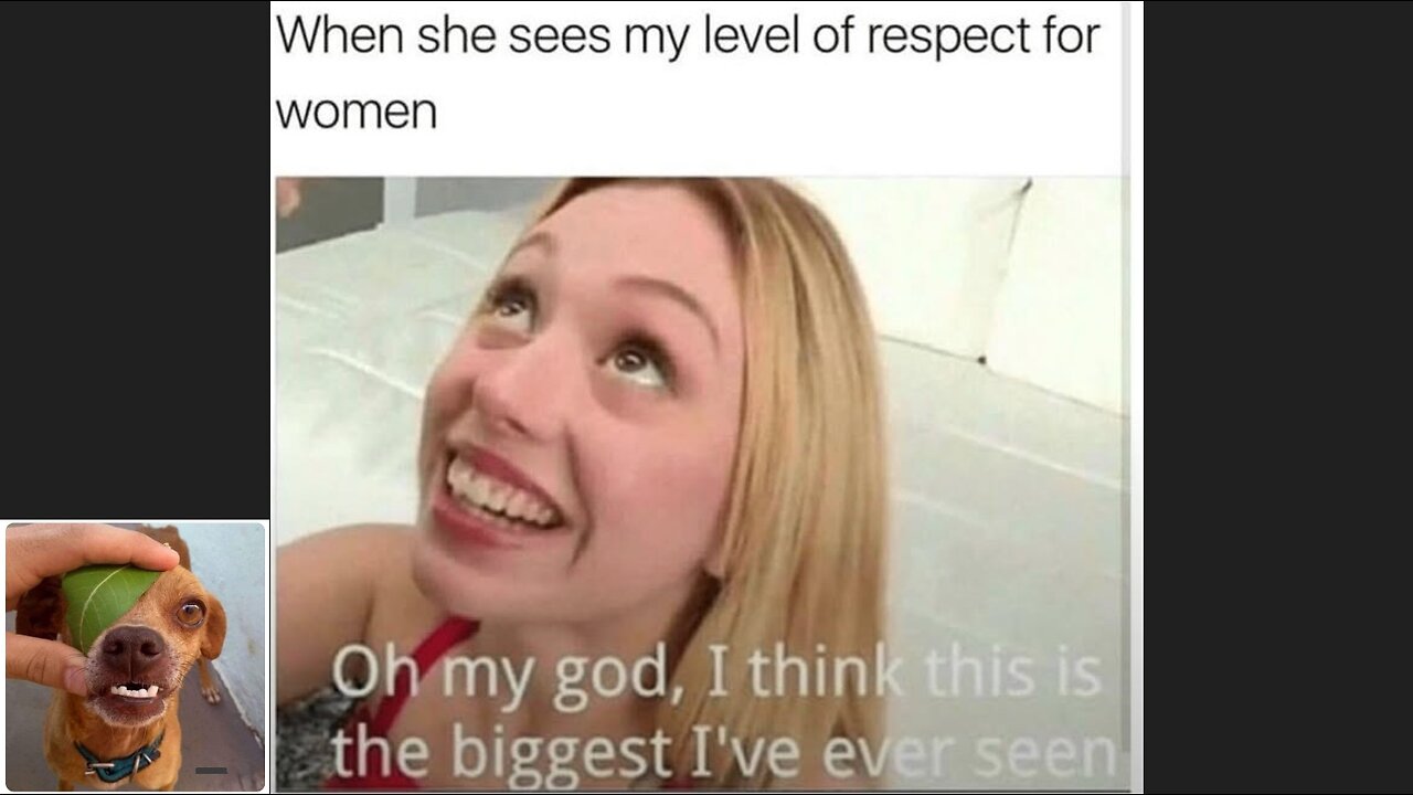 Memes That Will 99.0413% Make You Laugh. (e637)