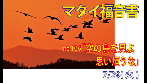 「空の鳥を見よ」(マタイ6.25-26)みことば福音教会2025.7.29(火)