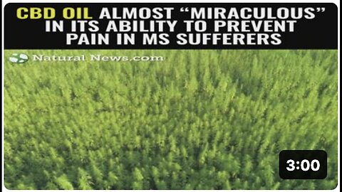 "Almost Miraculous: CBD Oil's Ability to Alleviate Pain in MS Patients"