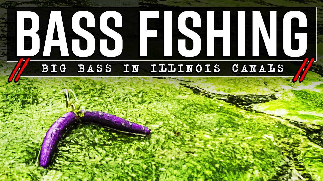 Midwest Canal Largemouth Bass Fishing