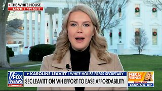 Karoline Leavitt TORCHES Democrats