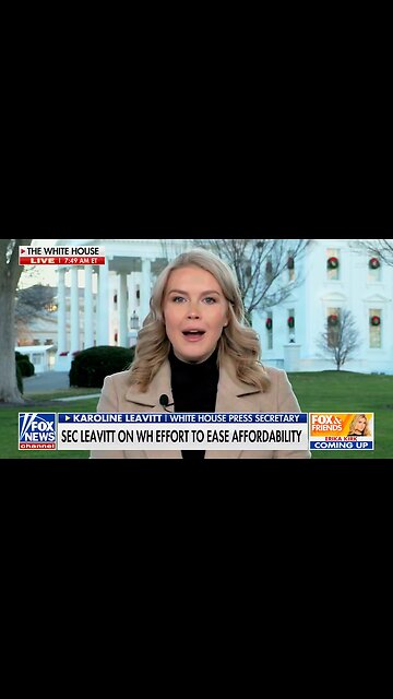 Karoline Leavitt TORCHES Democrats