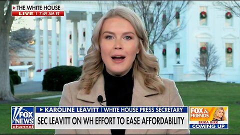 Karoline Leavitt TORCHES Democrats