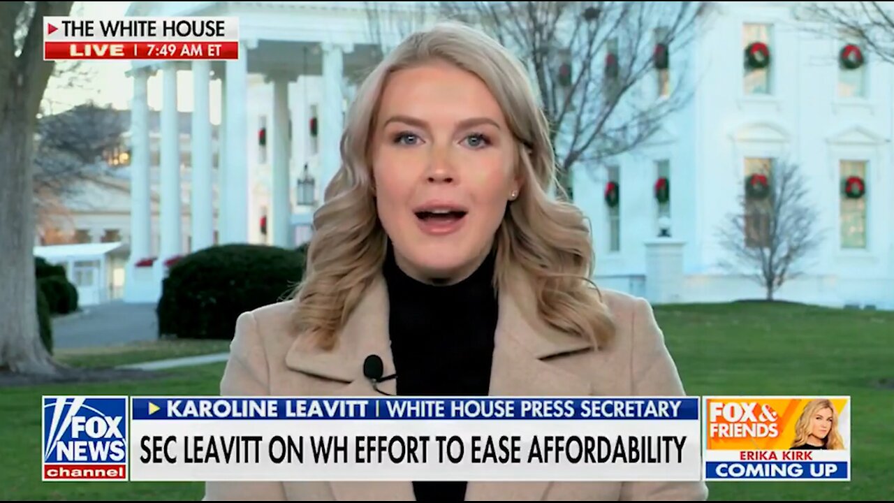 Karoline Leavitt TORCHES Democrats