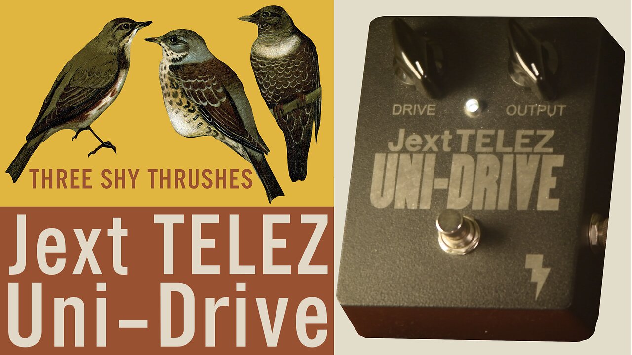 โก Jext Telez ๐ธ Uni-Drive ๐ Fairchild Black Button Transistor ๐ถ Overdrive ๐ Fender Jazz bass guitar๐