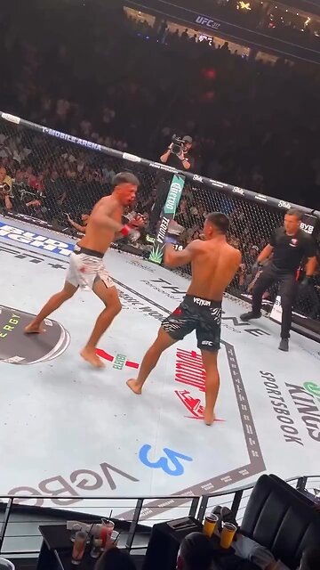 Absolutely electric! Nothing beats the roar of the crowd for a finish like that.🥊💥 #UFC