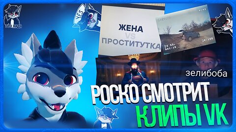 🐺 Роско смотрит ВК Клипы