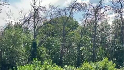 🔘 An FPV drone has been created using a Kalashnikov rifle. The future has arrived.