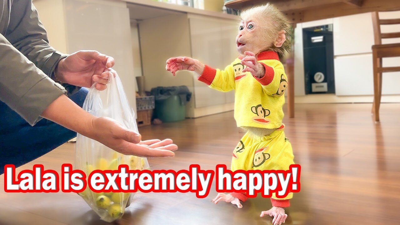 Lala Unexpectedly Received Special Care From Dad Quan After Many Days !