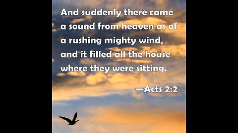 MY Almighty Storm...