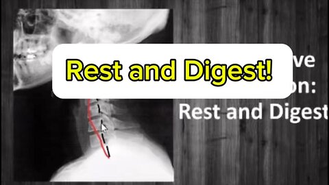 Fight or flight or rest and digest?