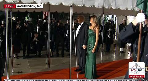 Melania wears green Elon is back in the White House
