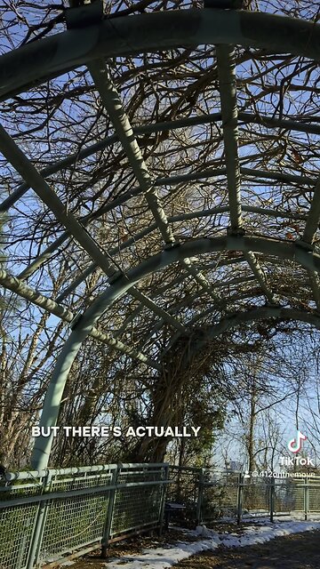 West End Overlook, Pittsburgh (1/4)