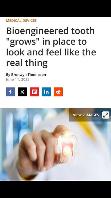 Sheer ket awesomeness by AI... 🤣😲😎