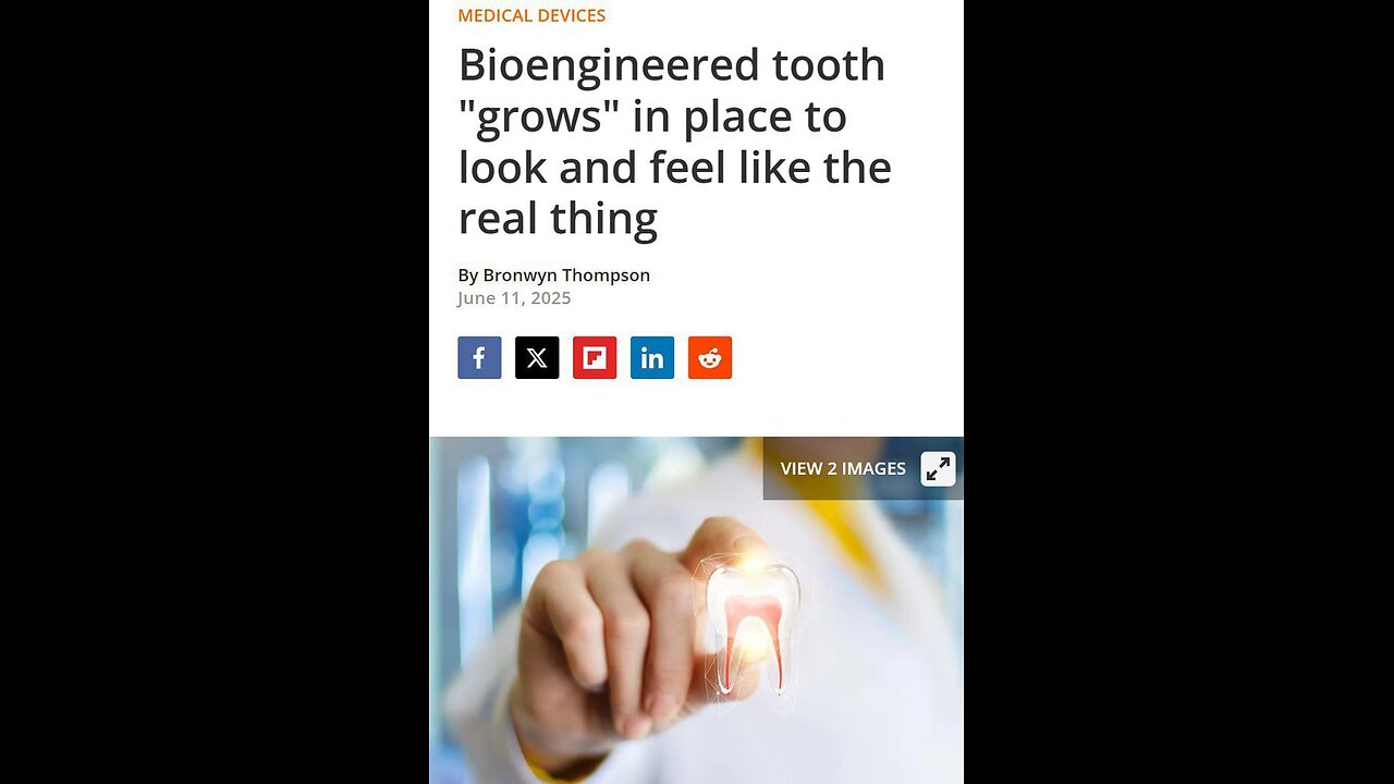 Sheer ket awesomeness by AI... 🤣😲😎