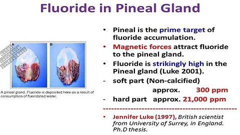 "Unlocking the Secrets of the Pineal Gland: A Key to Optimal Health and Wellness"