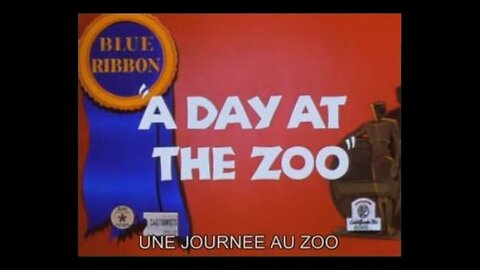 A DAY AT THE ZOO