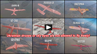 Donetsk region: Russian FPV drones hunt Ukrainian surveillance drones