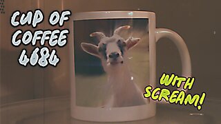 Cup of Coffee 4684---Pig Ears