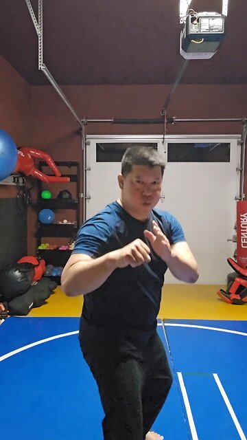 WTD Hand Combination 10, Bridge Set (Rank 2)