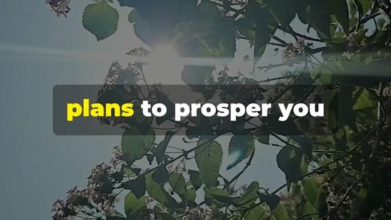 Trusting the Plan