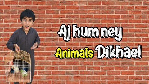 My First VLog Aj Hum Ne Animals Dikhae!