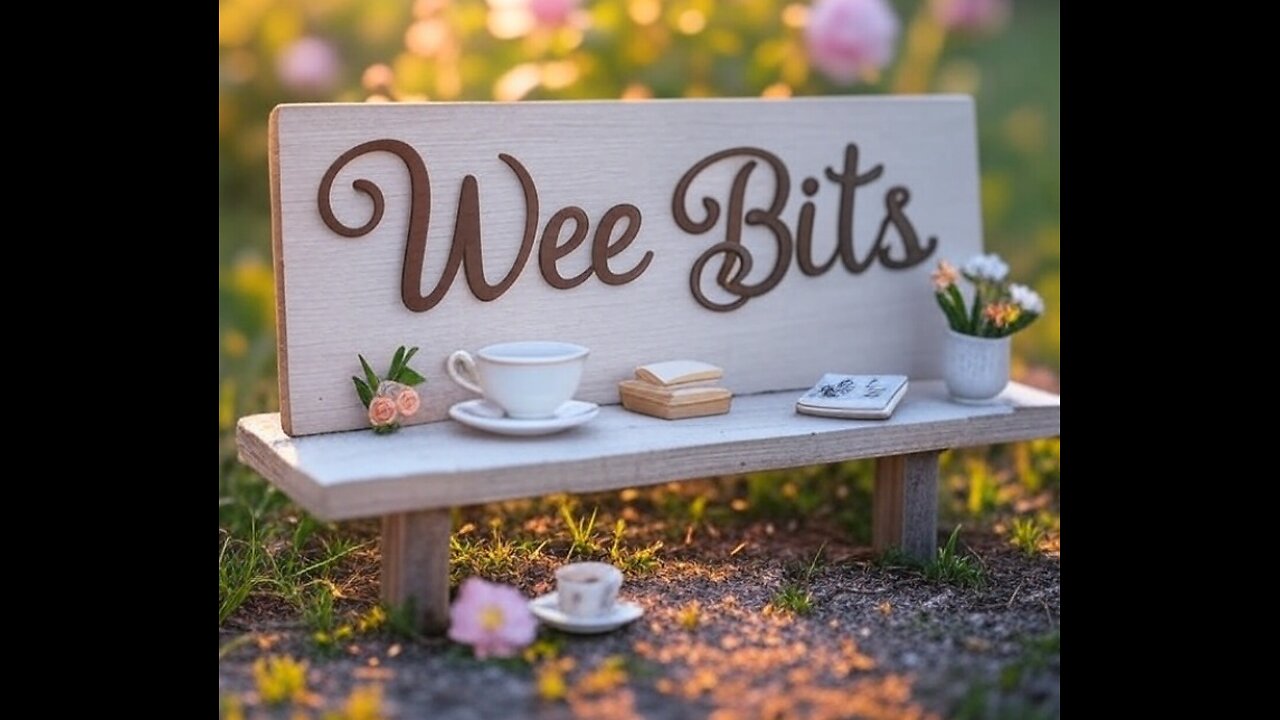 Wee Bits, Episode 12