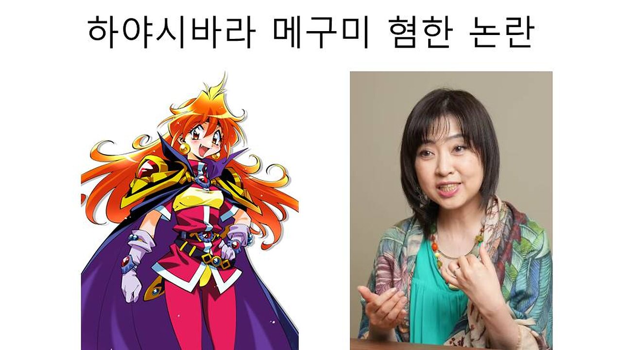 혐한 논란 터진 일본 유명 성우 하야시바라 메구미