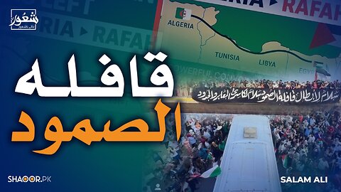 From Solidarity to Suppression: Gaza Convoy Faces Brutality in Egypt