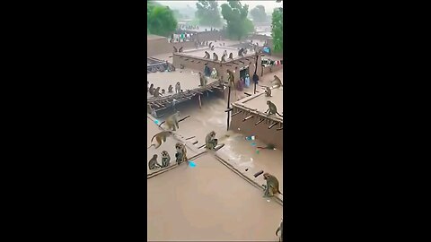 ये क्या हो गया है