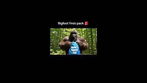 Bigfoot finds bag