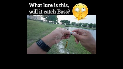 Ultralight Baitcasting a Hula Popper, will it catch Bass? 🤔 #fishing #ultralightfishing #bfsfishing
