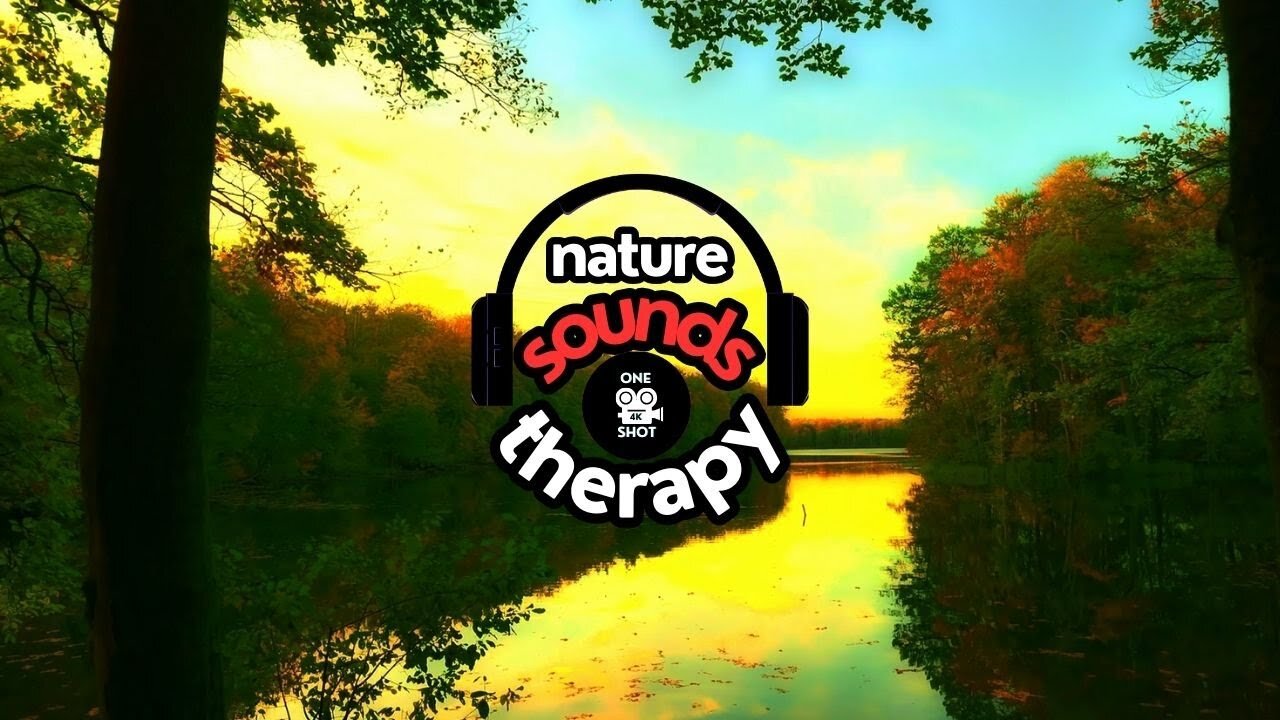 Autumn Nature Sounds; Relaxing Soundscape for Fall 4K