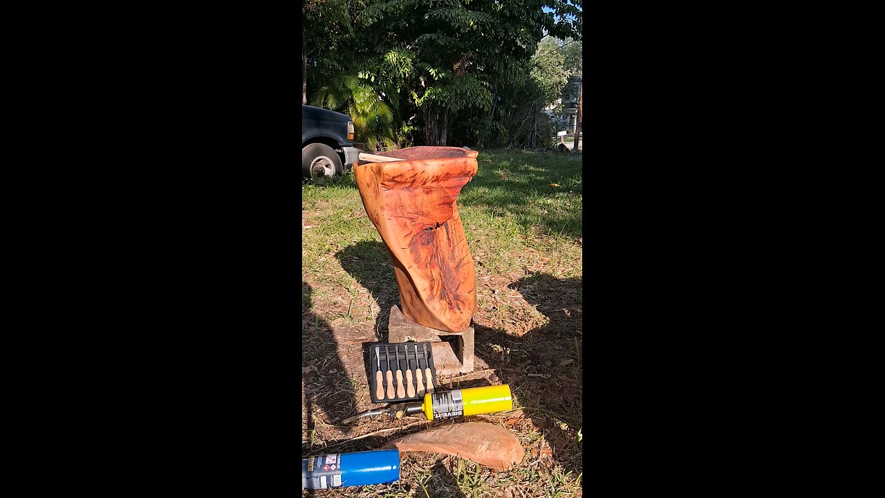 DetroitWoods